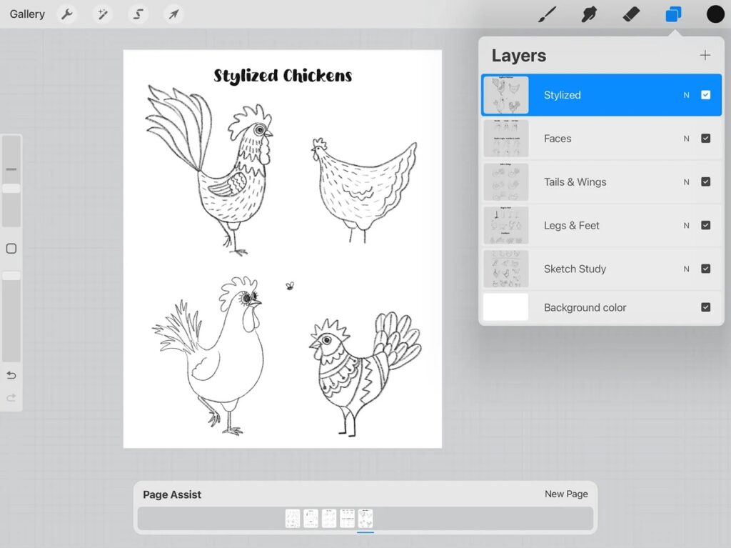 drawing chickens in procreate