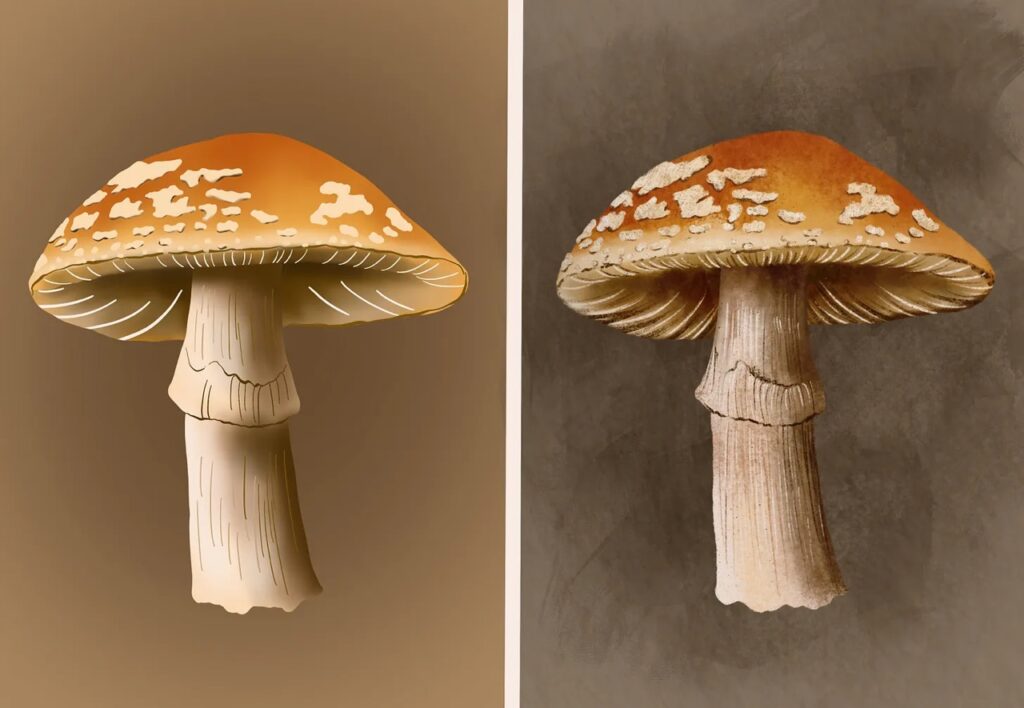 textured mushroom procreate