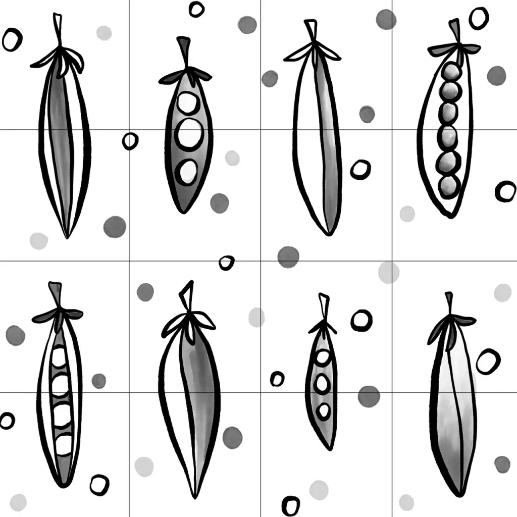 Procreate pea pod pattern brush