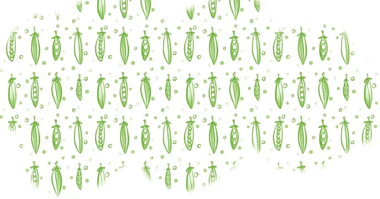 Pea pod pattern