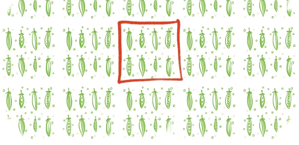 Pea pod pattern with borders
