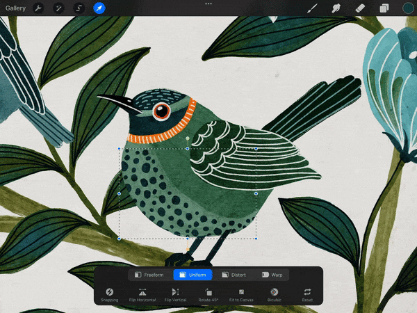 clipping mask gif