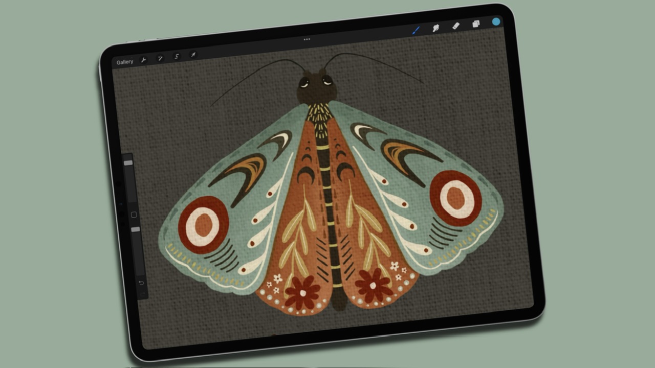 gouache moths in procreate