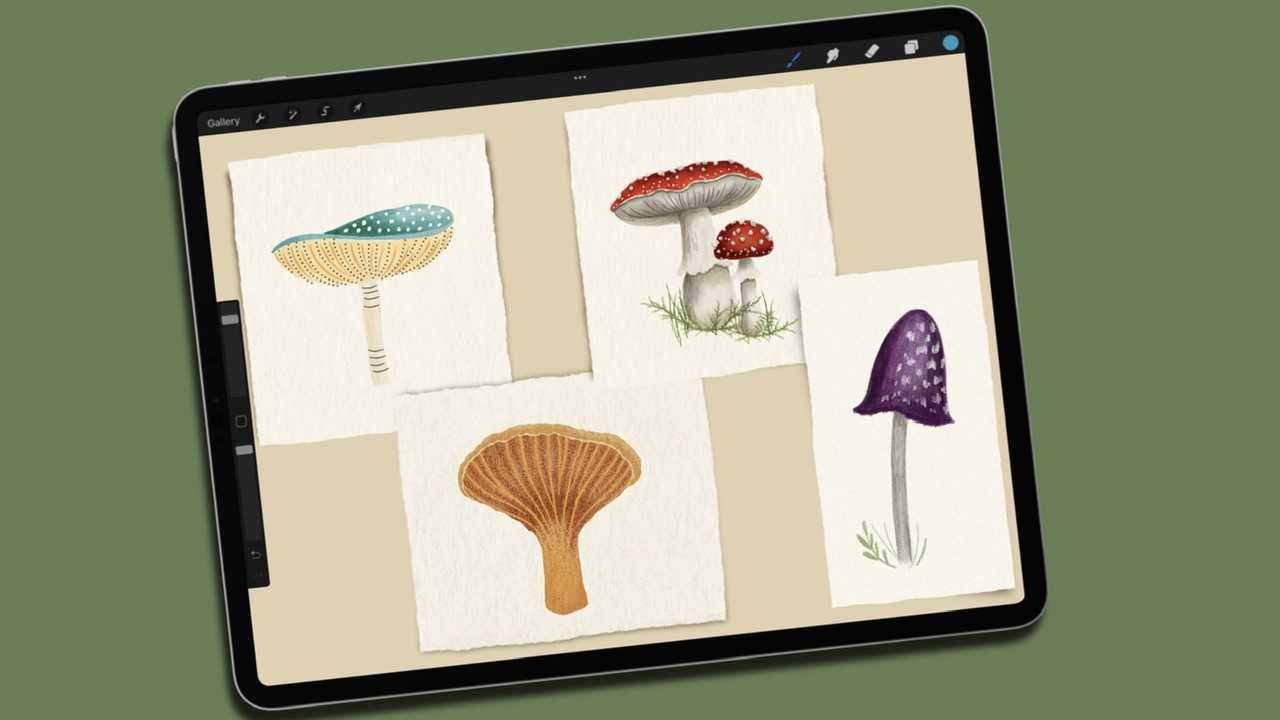 drawing mushrooms in procreate